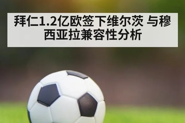 拜仁1.2亿欧签下维尔茨 与穆西亚拉兼容性分析